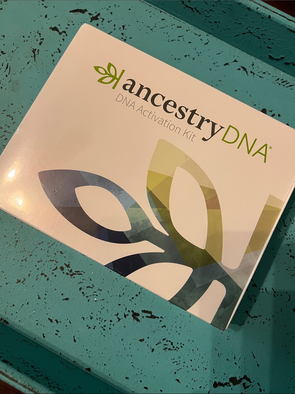 AncestryDNA Kit Box - White with Navy & Green Accents